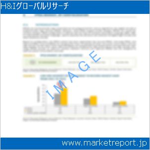 市場と産業調査レポートのイメージ